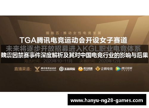 魏震因禁赛事件深度解析及其对中国电竞行业的影响与后果