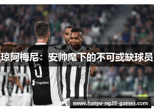 琼阿梅尼:安帅麾下的不可或缺球员 琼阿梅尼:安帅麾下的不可或缺球员